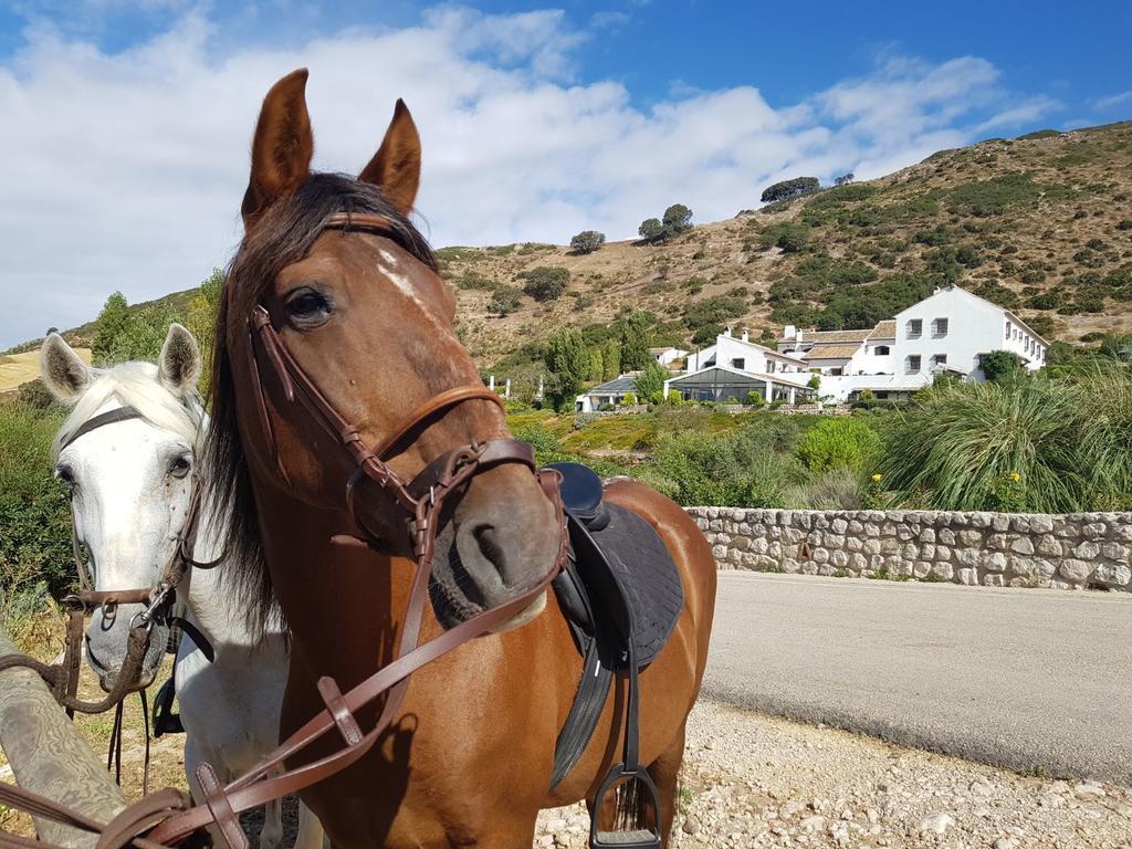 Hotel Fuente Del Sol Antequera Kültér fotó
